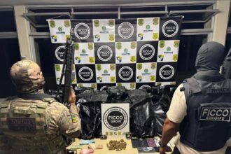 Operação da FICCO em Sergipe prende cinco suspeitos e apreende 36 kg de maconha de alto valor