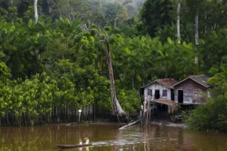 Projeto leva tratamento gratuito a doenças negligenciadas no Amazonas