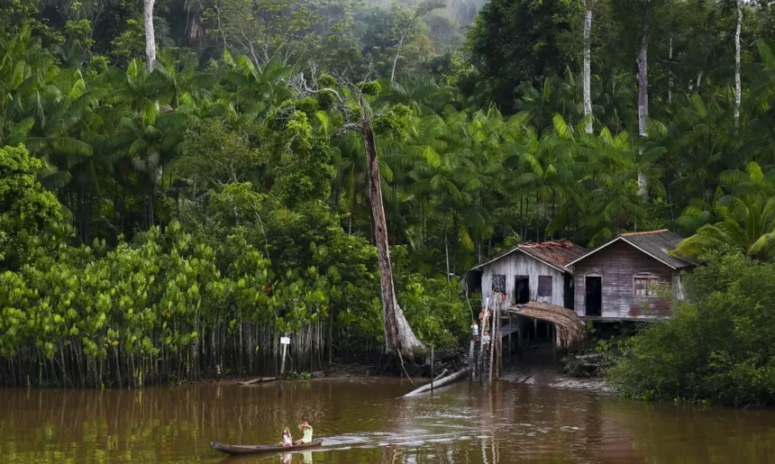 Projeto leva tratamento gratuito a doenças negligenciadas no Amazonas