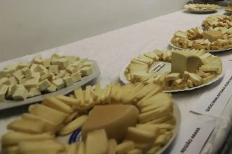 Brasil começa a importar queijo mais barato após acordo Mercosul–UE