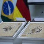 Brasil quer recuperar dinossauros e patrimônios que estão em 14 países