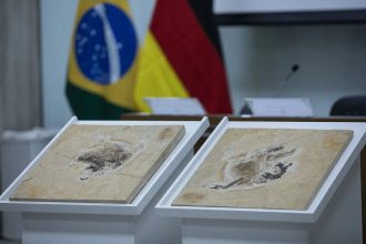 Brasil quer recuperar dinossauros e patrimônios que estão em 14 países