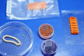 Embrapa produz em laboratório salmão, caviar e anéis de lula veganos