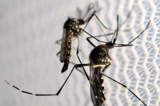 Estado de SP confirma mais duas mortes por febre amarela