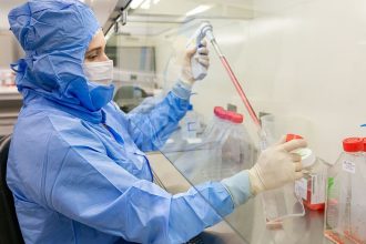 Estudo usa células-tronco contra complicações do transplante de medula