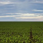 Fazenda estuda Fundo Garantidor para dívidas rurais