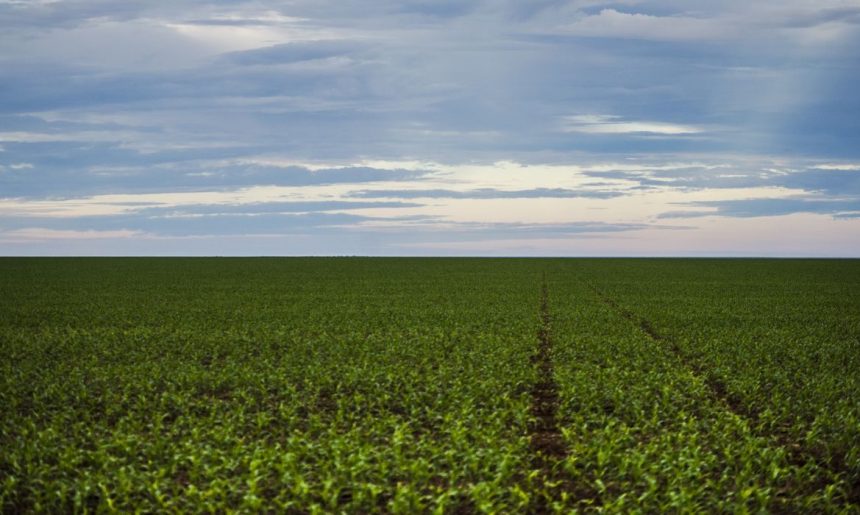 Fazenda estuda Fundo Garantidor para dívidas rurais