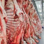 Governo promete reverter veto da UE a carnes e animais brasileiros