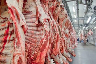 Governo promete reverter veto da UE a carnes e animais brasileiros