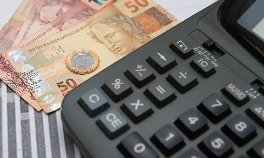 Receita libera consulta ao maior lote de restituição da história