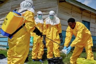 Secretaria da Saúde de SP reforça vigilância sobre ebola no estado