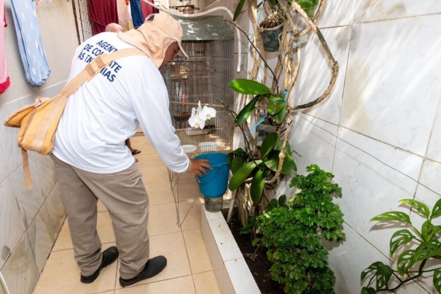 Terceiro LIRAa do ano identifica sete municípios sergipanos com alta infestação do Aedes aegypti
