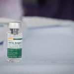 Butantan mantém estudo sobre vacina da dengue em idosos