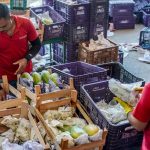 Governo anuncia crédito de R$ 97,3 bi para agricultores familiares
