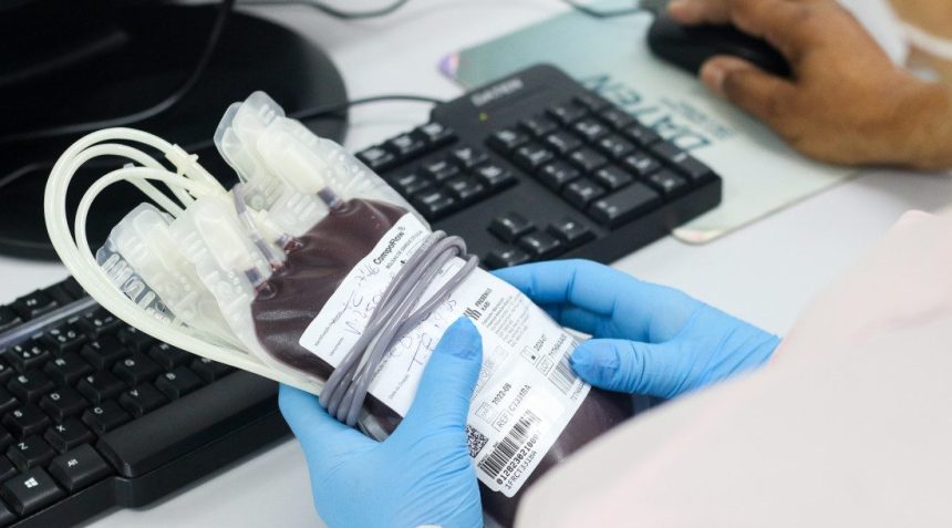 Hemose promove sexta edição do ‘Sabadão Solidário’ neste sábado, 20