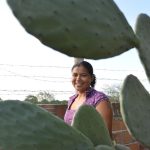 Mulheres comandam produção em duas em cada dez propriedades rurais