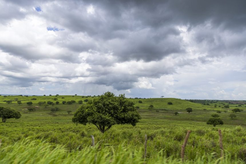 Previsão indica semana com predomínio de céu parcialmente nublado em Sergipe