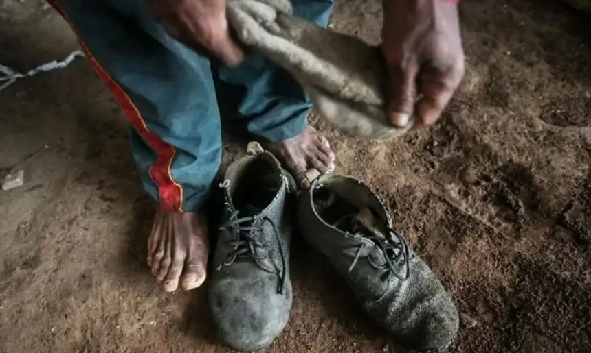 Senado aprova proteção a trabalhadores resgatados de trabalho escravo