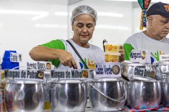 Vila do Forró oferece diversidade de sabores e oportunidades para empreendedores