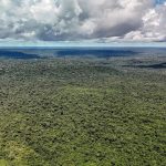 Adversária em campo, Noruega é parceira de ações ambientais do Brasil