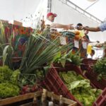 Decreto adia exigência de CNPJ para autônomos e produtores rurais