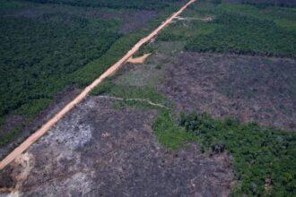 Eco Invest Brasil promove quinto leilão para financiar inovação