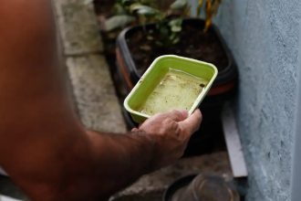 El Niño pode aumentar casos de chikungunya e dengue no Brasil
