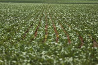 Entenda impasse entre bancada do agro e governo sobre dívidas rurais