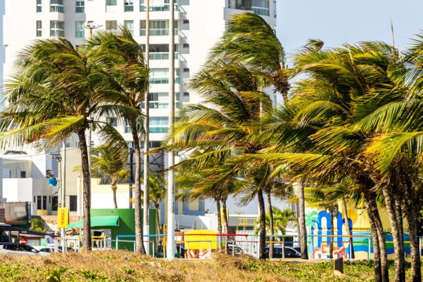 Previsão do tempo indica possibilidade de ventos fortes neste sábado em todo o estado