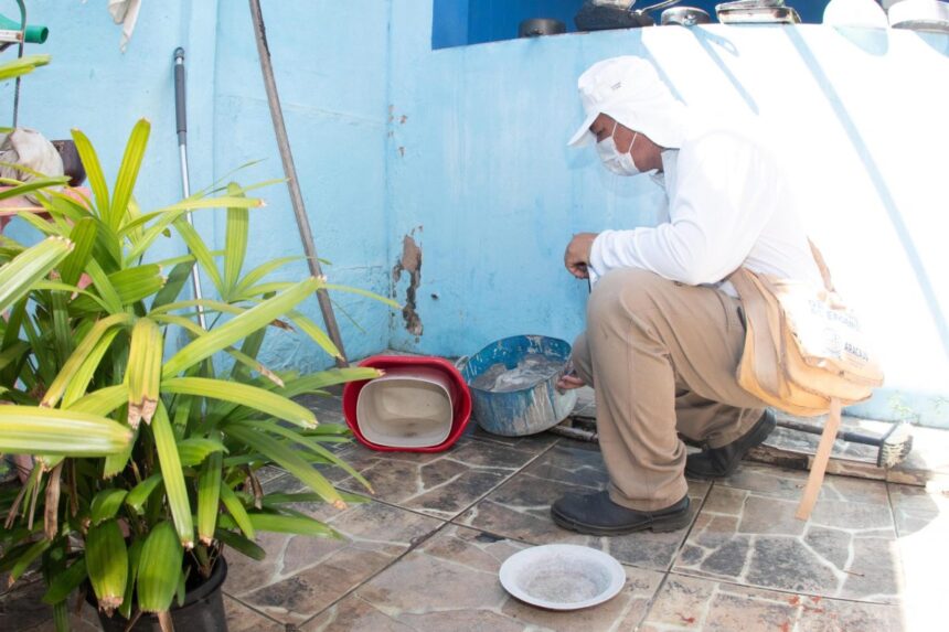 Quarto LIRAa de 2026 apresenta redução de municípios com alto índice de infestação do mosquito Aedes aegypti