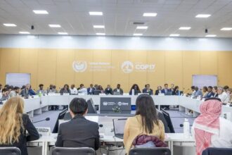 COP17 caminha para novo adiamento de acordo de combate às secas