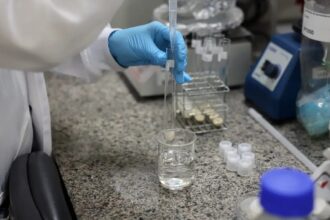 SBPC convida candidatos a governador a se comprometerem com a ciência