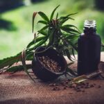 Para associações, normas ainda deixam pontos em aberto sobre cannabis