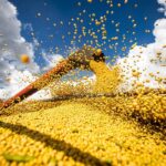 Produção agrícola brasileira superou R$ 927 bilhões em 2025