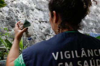 São Paulo tem mais de 58 mil casos de dengue desde o início do ano