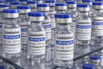 Testes clínicos fase 1 da polilaminina começam este mês