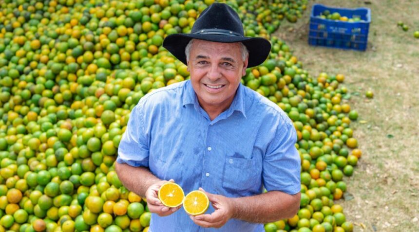Agronegócio sergipano registra superávit de US$ 48,8 milhões em 2026