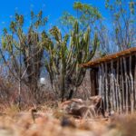 Boletim do El Niño amplia informações à população sobre monitoramento, cenário de seca e ações do Governo de Sergipe