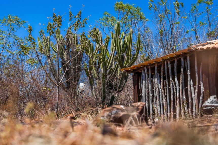 Boletim do El Niño amplia informações à população sobre monitoramento, cenário de seca e ações do Governo de Sergipe