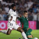 Brasileirão: Palmeiras fica no zero com o Santos e Flamengo agradece