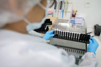 Malária: Anvisa autoriza teste em humanos de vacina 100% brasileira