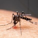 Mudanças climáticas já causam aumento de doenças infecciosas no país