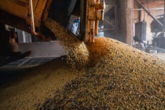 Produção brasileira de grãos deve aumentar apesar do El Niño