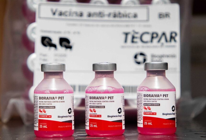 Saúde de Sergipe distribui 350 mil doses de vacina antirrábica animal aos municípios