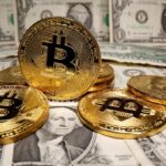 Site oferece criptomoedas por posts de apoio a Flávio Bolsonaro