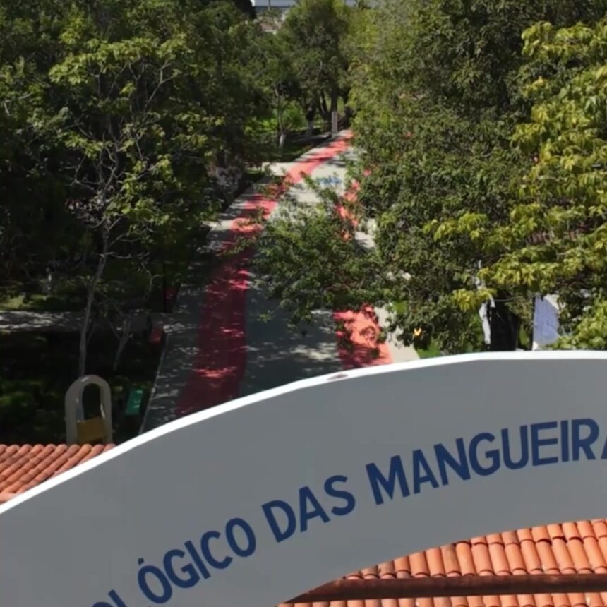 Carmópolis: reforma do Parque das Mangueiras chega à reta final
